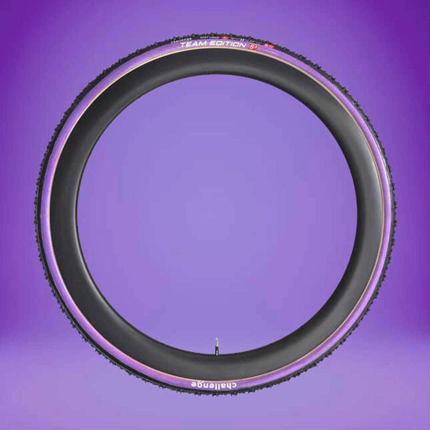 Challenge Chicane Team Edition Tubular 33